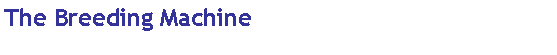 Text Box: The Breeding Machine